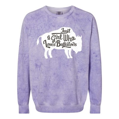 Just A  Who Loves Buffaloes Buffalo Bison Lover  Colorblast Crewneck Sweatshirt