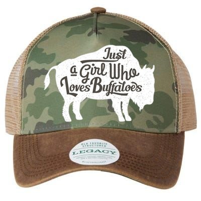 Just A  Who Loves Buffaloes Buffalo Bison Lover  Legacy Tie Dye Trucker Hat