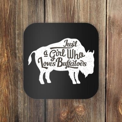 Just A  Who Loves Buffaloes Buffalo Bison Lover  Coaster