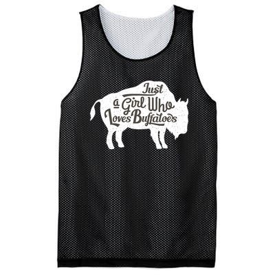 Just A  Who Loves Buffaloes Buffalo Bison Lover  Mesh Reversible Basketball Jersey Tank