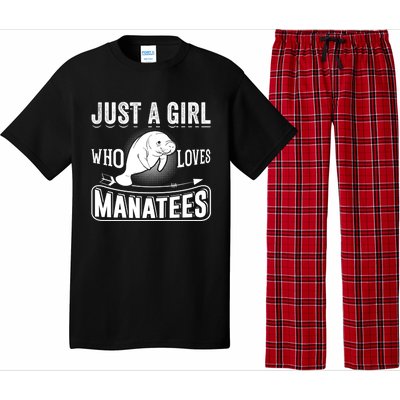 Just A Who Loves Atees Funny Atee Lover Gift Great Gift Pajama Set