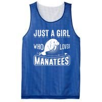 Just A Who Loves Atees Funny Atee Lover Gift Great Gift Mesh Reversible Basketball Jersey Tank