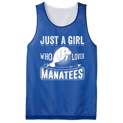 Just A Who Loves Atees Funny Atee Lover Gift Great Gift Mesh Reversible Basketball Jersey Tank