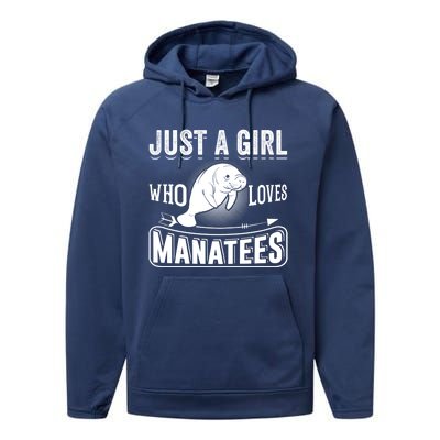 Just A Who Loves Atees Funny Atee Lover Gift Great Gift Performance Fleece Hoodie