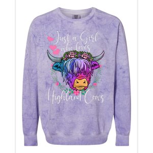 Just a Who Loves Highland Cows gift farmer Colorblast Crewneck Sweatshirt