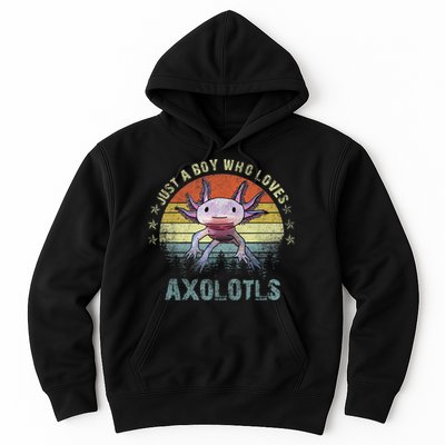 Just A  Who Loves Axolotls Funny Axolotl Gift for Boys Hoodie