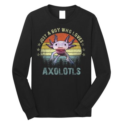 Just A  Who Loves Axolotls Funny Axolotl Gift for Boys Long Sleeve Shirt