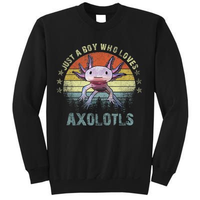 Just A  Who Loves Axolotls Funny Axolotl Gift for Boys Sweatshirt