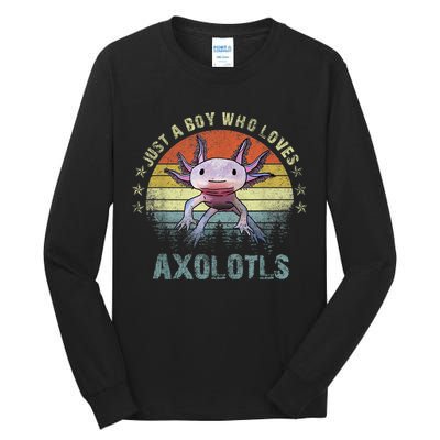 Just A  Who Loves Axolotls Funny Axolotl Gift for Boys Tall Long Sleeve T-Shirt