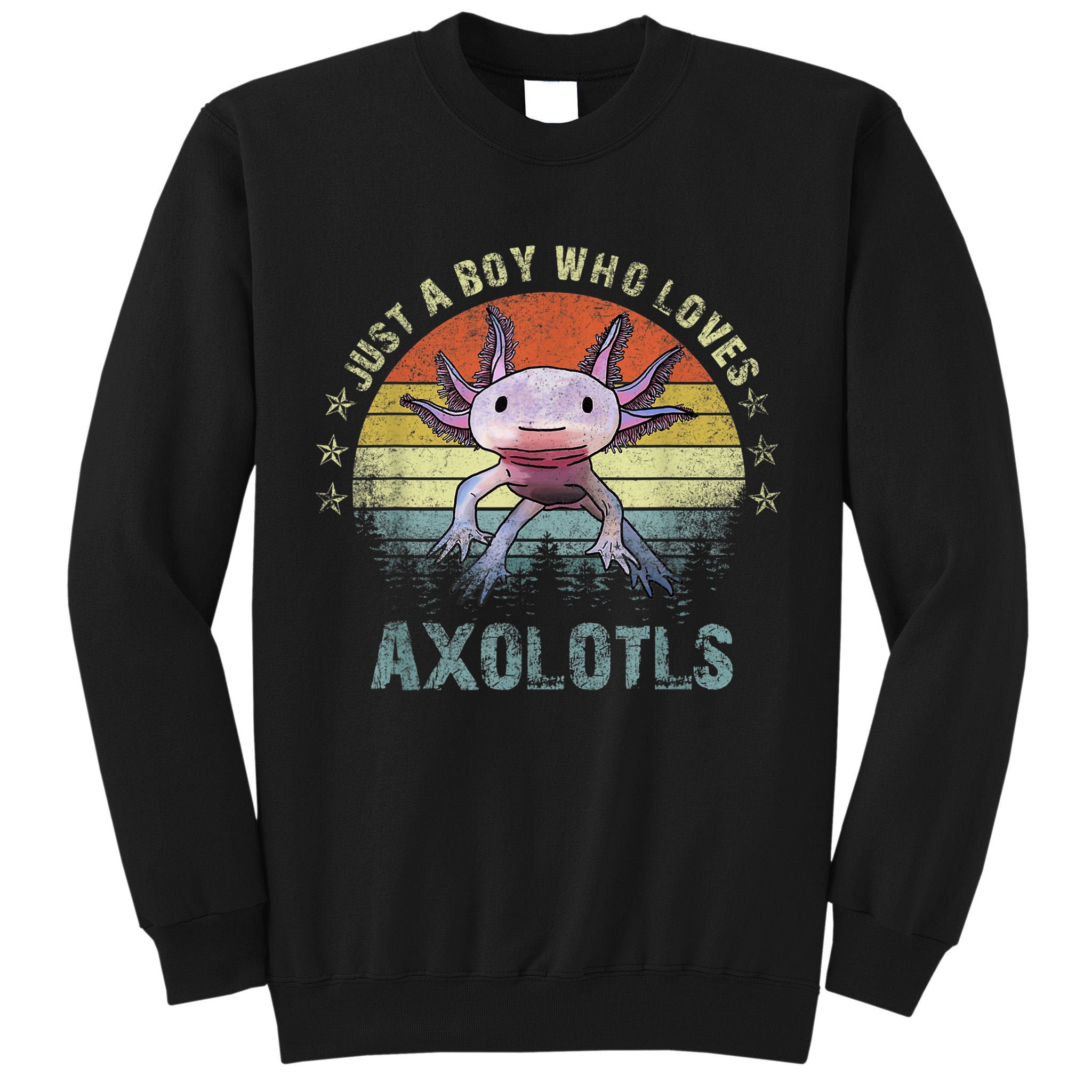 Just A  Who Loves Axolotls Funny Axolotl Gift for Boys Tall Sweatshirt