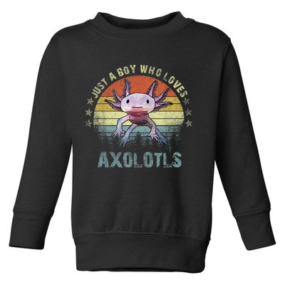 Just A  Who Loves Axolotls Funny Axolotl Gift for Boys Toddler Sweatshirt
