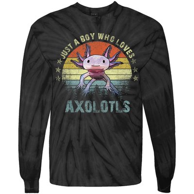 Just A  Who Loves Axolotls Funny Axolotl Gift for Boys Tie-Dye Long Sleeve Shirt