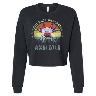 Just A  Who Loves Axolotls Funny Axolotl Gift for Boys Cropped Pullover Crew