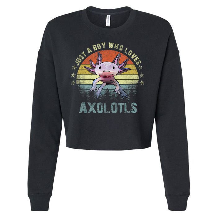 Just A  Who Loves Axolotls Funny Axolotl Gift for Boys Cropped Pullover Crew