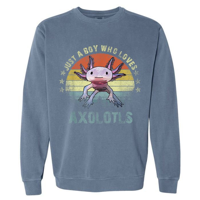 Just A  Who Loves Axolotls Funny Axolotl Gift for Boys Garment-Dyed Sweatshirt
