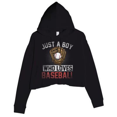 Just A  Who Loves Baseball Crop Fleece Hoodie