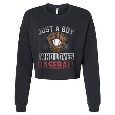 Just A  Who Loves Baseball Cropped Pullover Crew