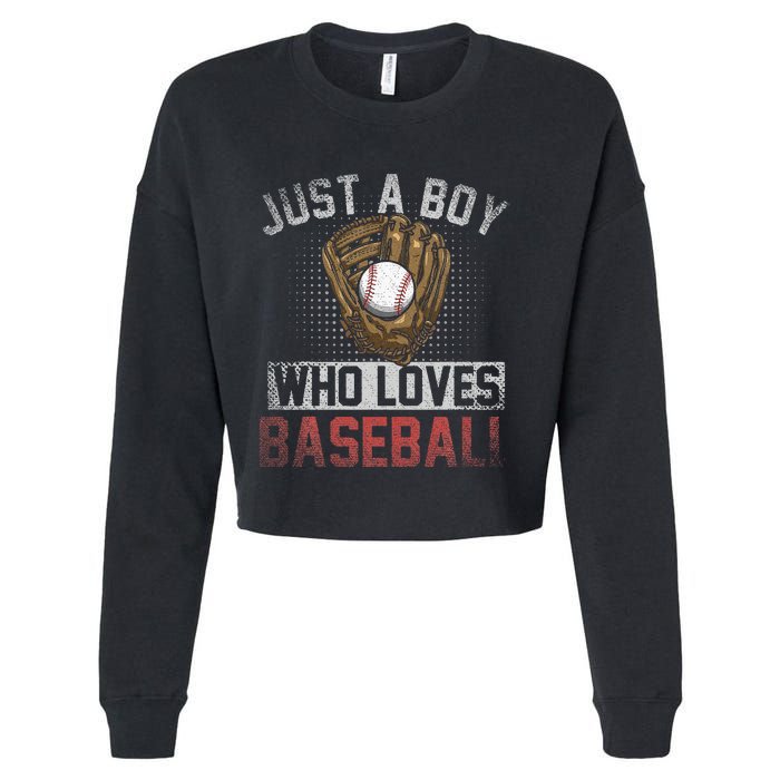 Just A  Who Loves Baseball Cropped Pullover Crew