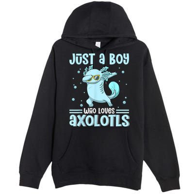 Just A  Who Loves Axolotls Axolotl Lovers Gift Boys Teens Premium Pullover Hoodie