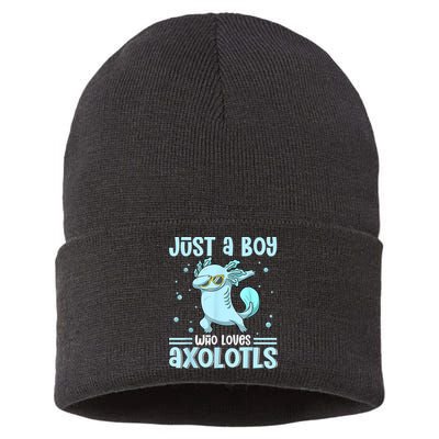 Just A  Who Loves Axolotls Axolotl Lovers Gift Boys Teens Sustainable Knit Beanie