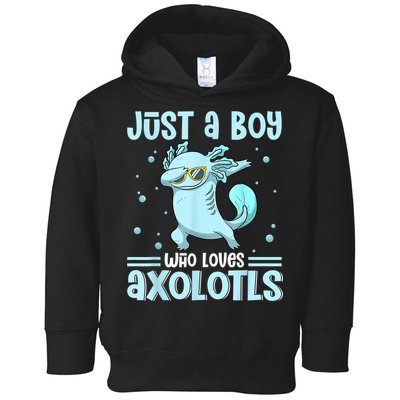 Just A  Who Loves Axolotls Axolotl Lovers Gift Boys Teens Toddler Hoodie