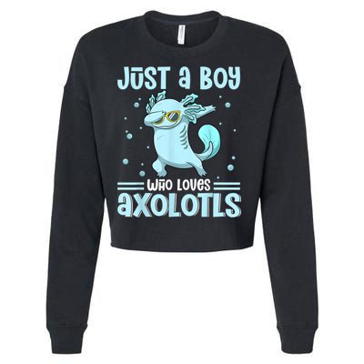 Just A  Who Loves Axolotls Axolotl Lovers Gift Boys Teens Cropped Pullover Crew