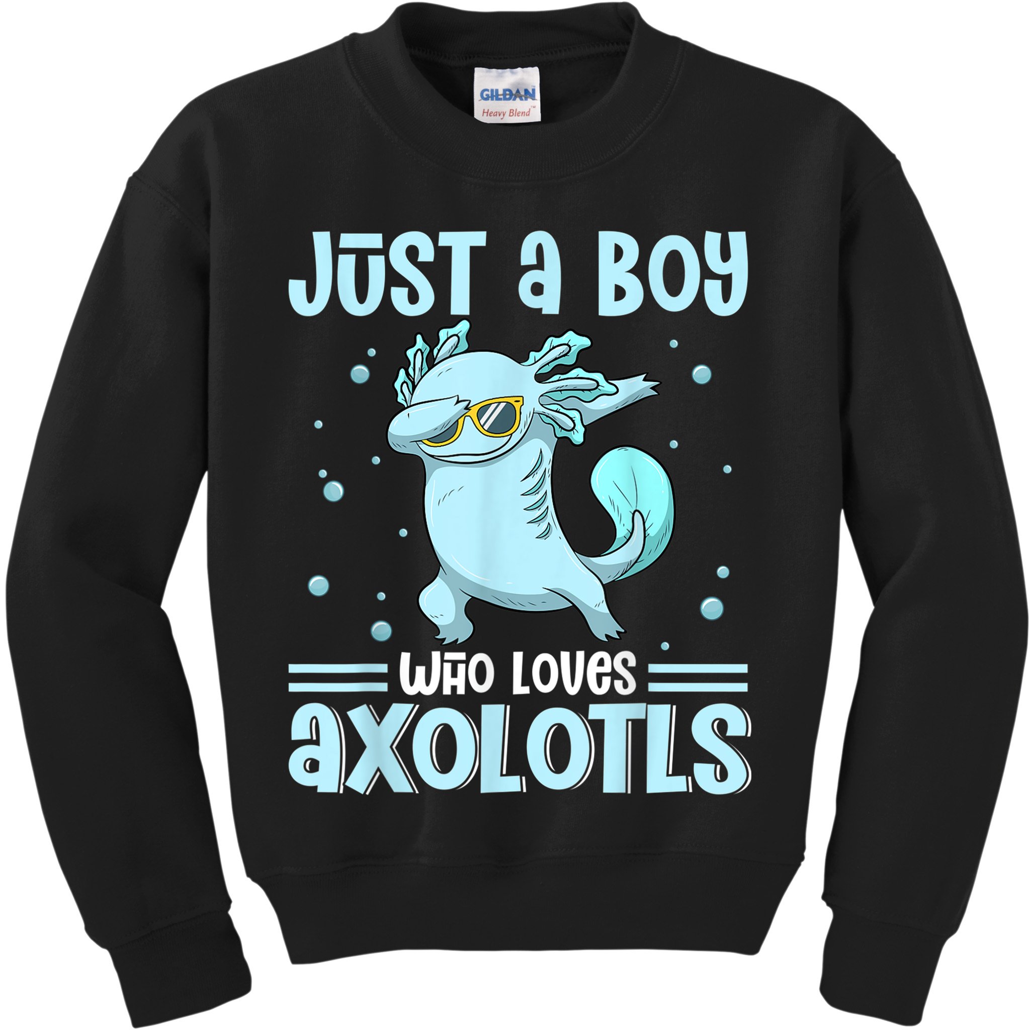 Just A  Who Loves Axolotls Axolotl Lovers Gift Boys Teens Kids Sweatshirt