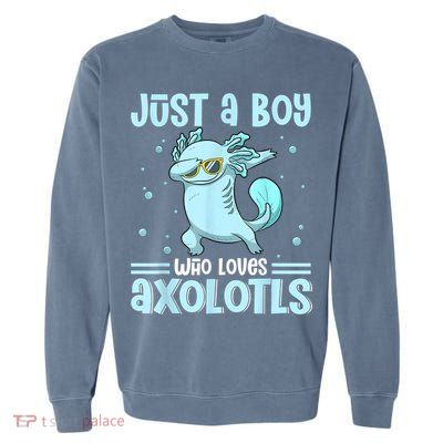 Just A  Who Loves Axolotls Axolotl Lovers Gift Boys Teens Garment-Dyed Sweatshirt
