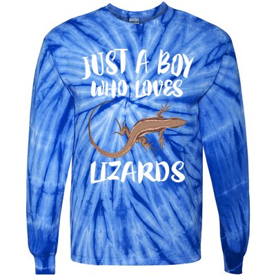 Just A Who Loves Lizards Gift Reptile Owner Gift Tie-Dye Long Sleeve Shirt