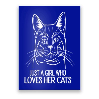 Just A Who Loves Her Cats Gift Poster