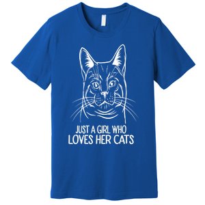 Just A Who Loves Her Cats Gift Premium T-Shirt