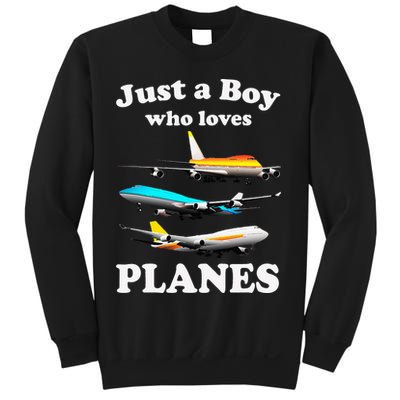 Just A Who Loves Planes Airplane Lover Sweatshirt
