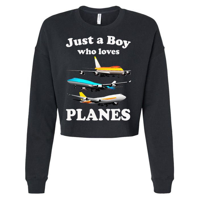 Just A Who Loves Planes Airplane Lover Cropped Pullover Crew
