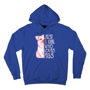 Just A Who Loves Pigs Funny Pig Farmer Gift Gift Hoodie