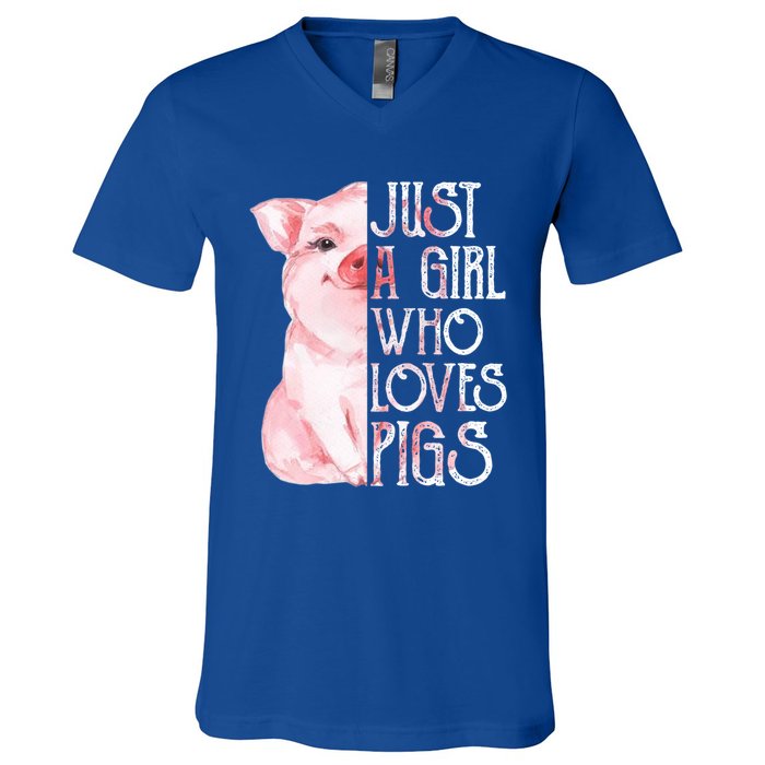 Just A Who Loves Pigs Funny Pig Farmer Gift Gift V-Neck T-Shirt