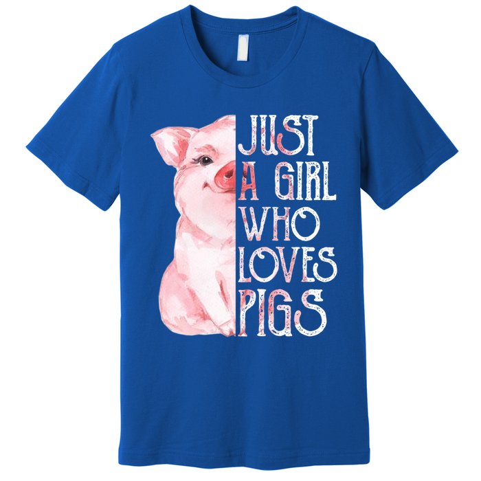 Just A Who Loves Pigs Funny Pig Farmer Gift Gift Premium T-Shirt