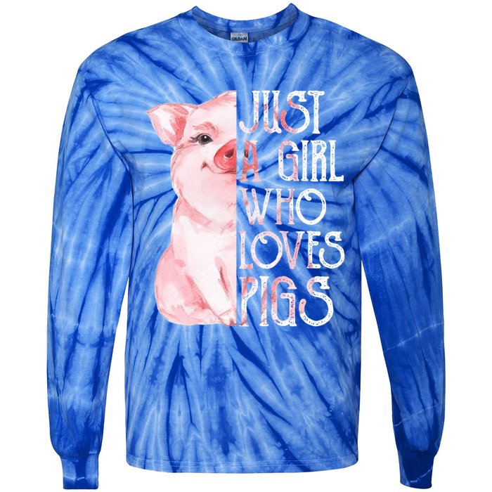 Just A Who Loves Pigs Funny Pig Farmer Gift Gift Tie-Dye Long Sleeve Shirt