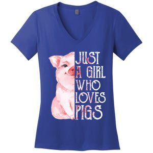 Just A Who Loves Pigs Funny Pig Farmer Gift Gift Women's V-Neck T-Shirt