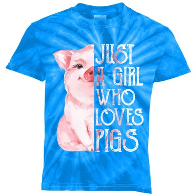 Just A Who Loves Pigs Funny Pig Farmer Gift Gift Kids Tie-Dye T-Shirt