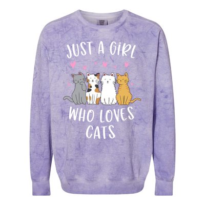 Just A Who Loves Cats Cute Cat Lover Meaningful Gift Colorblast Crewneck Sweatshirt