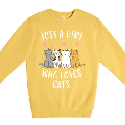 Just A Who Loves Cats Cute Cat Lover Meaningful Gift Premium Crewneck Sweatshirt