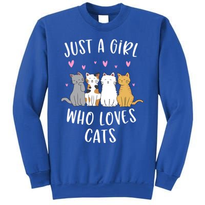 Just A Who Loves Cats Cute Cat Lover Meaningful Gift Sweatshirt