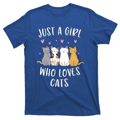 Just A Who Loves Cats Cute Cat Lover Meaningful Gift T-Shirt