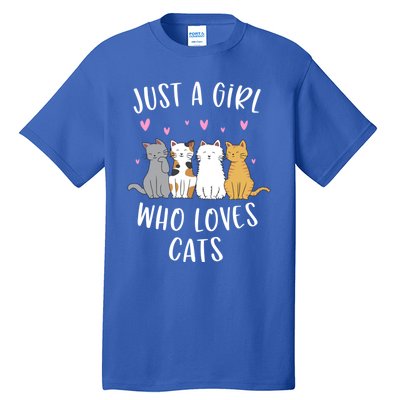 Just A Who Loves Cats Cute Cat Lover Meaningful Gift Tall T-Shirt