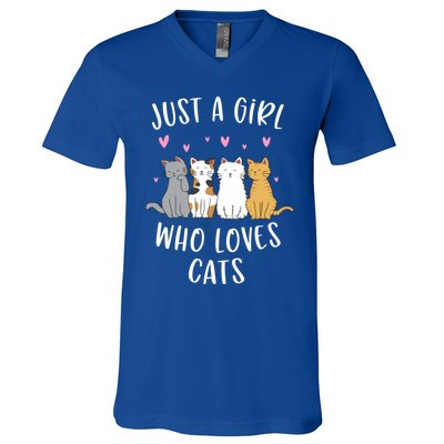 Just A Who Loves Cats Cute Cat Lover Meaningful Gift V-Neck T-Shirt