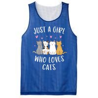 Just A Who Loves Cats Cute Cat Lover Meaningful Gift Mesh Reversible Basketball Jersey Tank