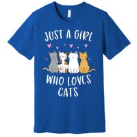 Just A Who Loves Cats Cute Cat Lover Meaningful Gift Premium T-Shirt