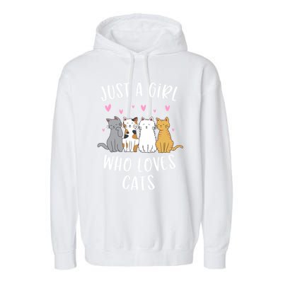 Just A Who Loves Cats Cute Cat Lover Meaningful Gift Garment-Dyed Fleece Hoodie