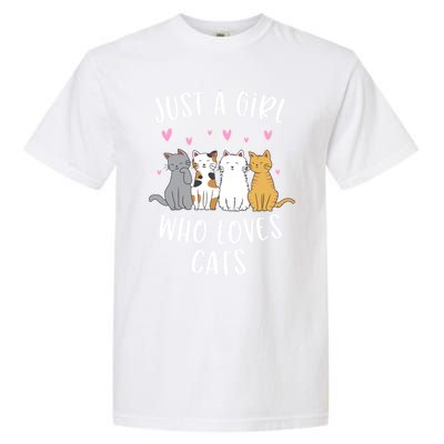 Just A Who Loves Cats Cute Cat Lover Meaningful Gift Garment-Dyed Heavyweight T-Shirt