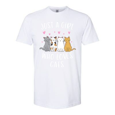 Just A Who Loves Cats Cute Cat Lover Meaningful Gift Softstyle CVC T-Shirt